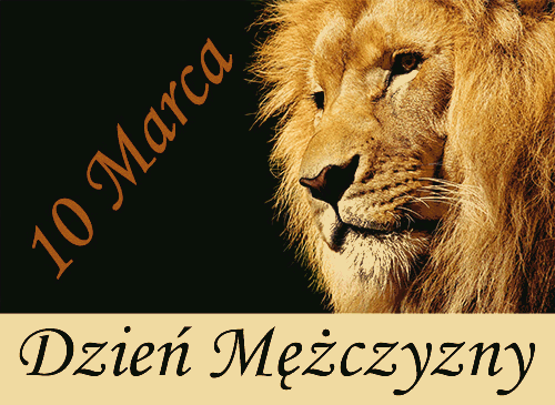 Lew przypomina o dniu mężczyzny